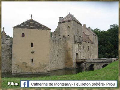 marigny-le-cahouet_chateau_entree